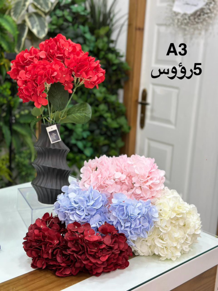 ورد 5 رؤوس A3