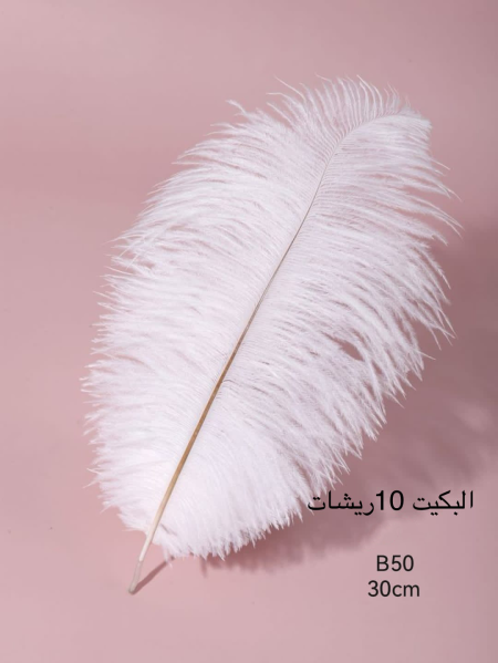 ريش ناعم B50