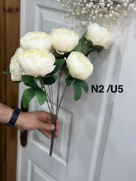 ضمة ورد N2/U5