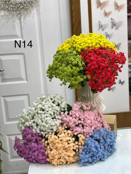 ضمة ورد N14