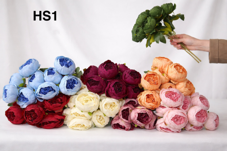 ضمة ورد فاوانيا HS1