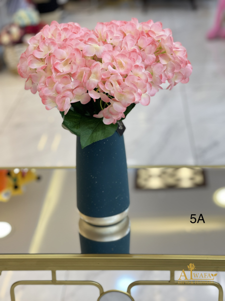 زهري 5A
