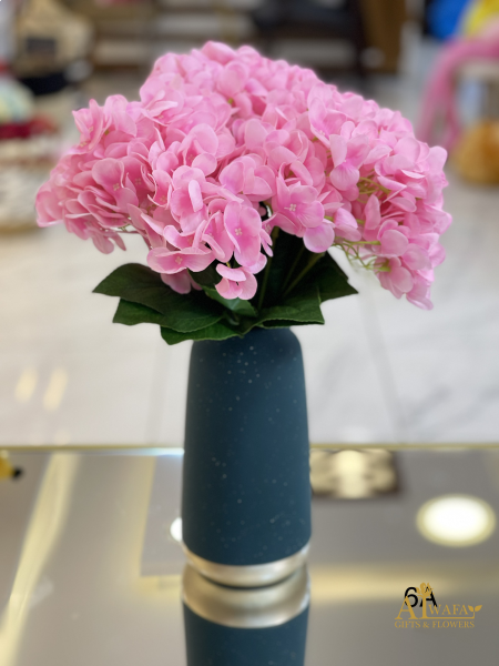 فوشي 6A